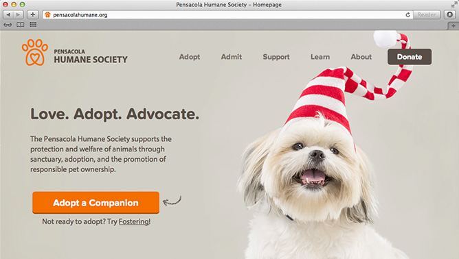 Pensacola Humane Society website project shown as originally presented
