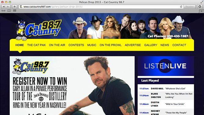 Cat Country website project shown as originally presented